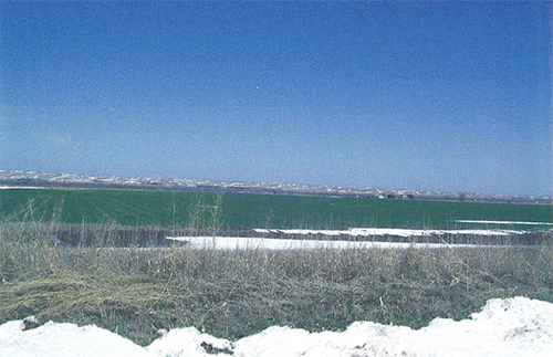 Southern Winds Southern Winds