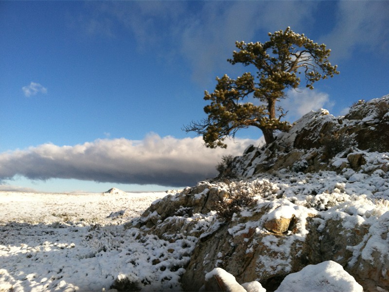 Wyoming 1